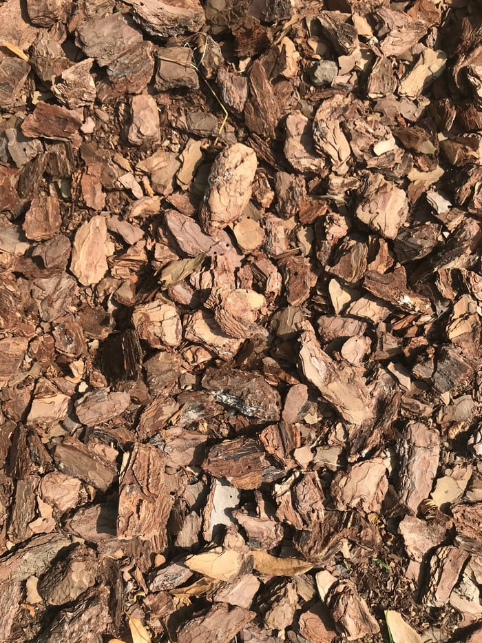 Detailed texture of rough brown tree bark chips outdoors in sunlight.