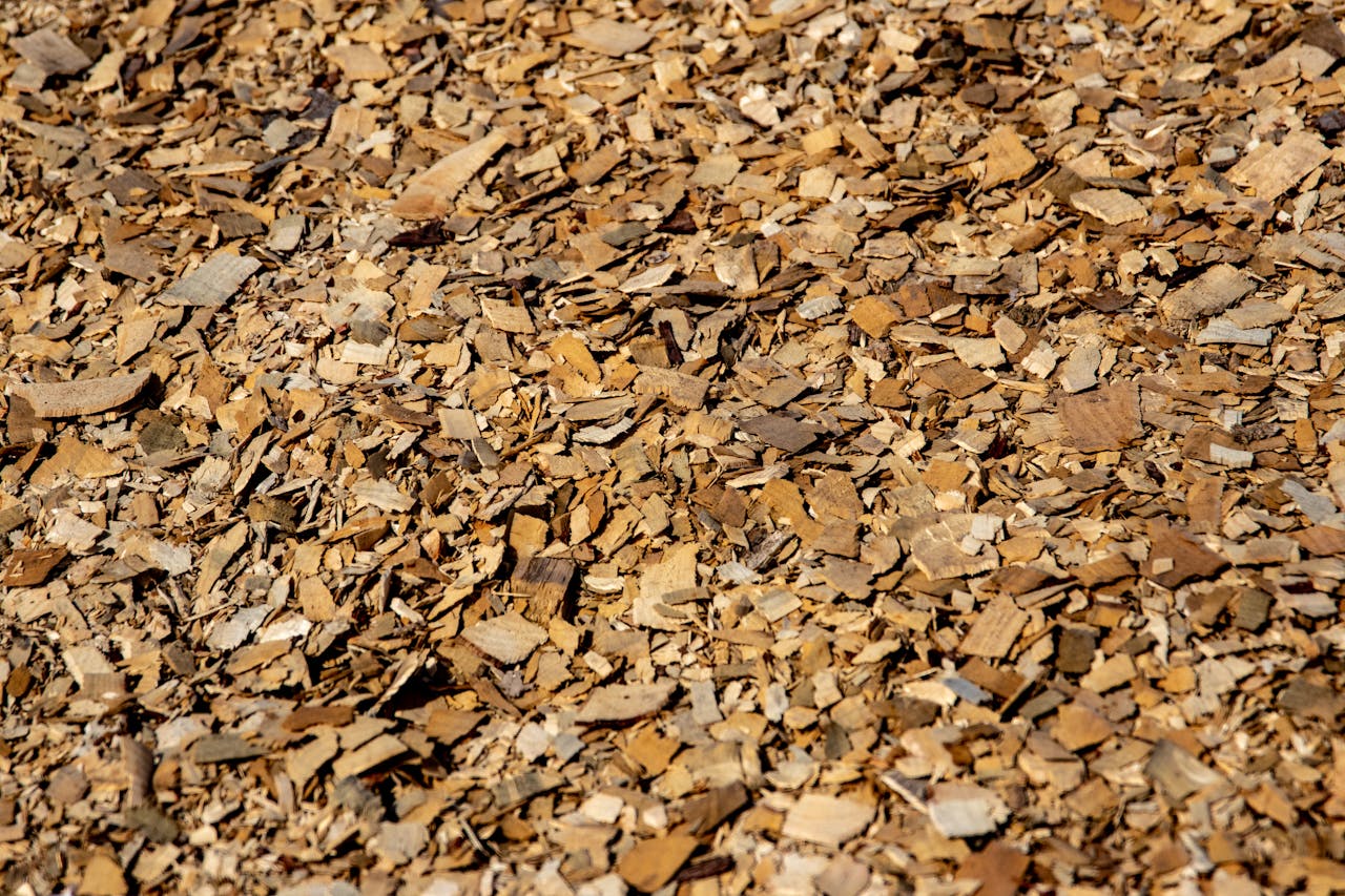 Close-up of natural wood shavings covering the ground, ideal for mulch or crafting.